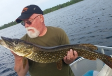 Larson northern