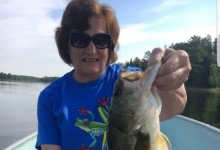 Phyllis